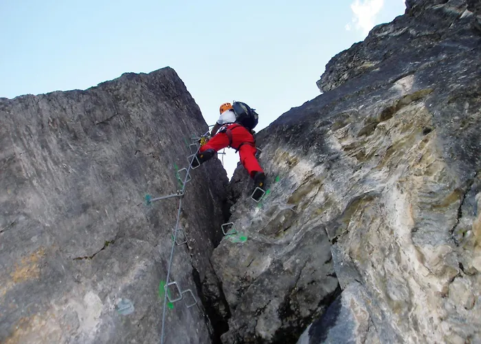 Alpengasthof Enzianhof Alojamento de Acomodação e Pequeno-almoço Zell am Ziller