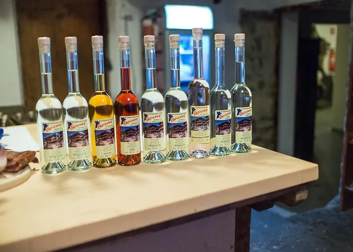 Alpengasthof Enzianhof