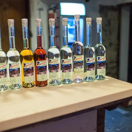 Alpengasthof Enzianhof