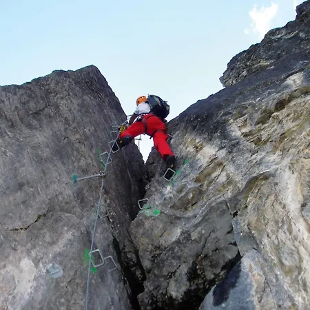 Alpengasthof Enzianhof Nocleg ze śniadaniem Zell am Ziller